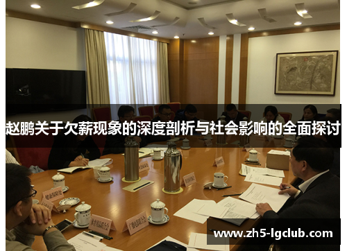 赵鹏关于欠薪现象的深度剖析与社会影响的全面探讨