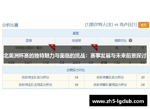 北美洲杯赛的独特魅力与面临的挑战：赛事发展与未来前景探讨