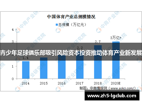 青少年足球俱乐部吸引风险资本投资推动体育产业新发展